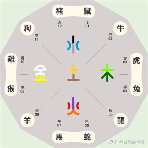 十二生肖 五行屬性|十二生肖五行属性对照表 生肖五行相生相克查询